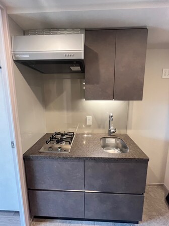 ザ・パークハビオ荏原中延駅前の物件内観写真